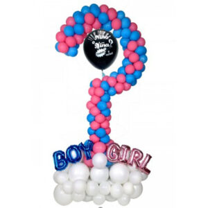 Arreglo Especial Revelación GAE17