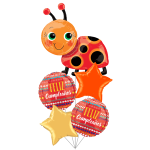 Bouquet Animalitos Mariquita HB0043