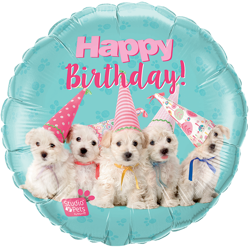 Bouquet Perrito Happy Birthday GB853 - Imagen 3